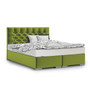 Čalúnená posteľ Texas 120x200 cm Zelená