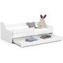 Detská posteľ ACTIV 160x80 cm - biela - galéria #2